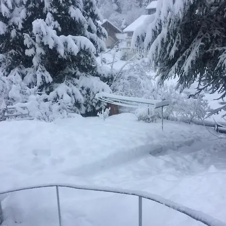 Ferien Am Wald Appartement Baiersbronn Buitenkant foto